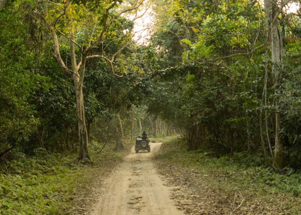 pexels-pragyanbezbo-15456563 pexels-pragyanbezbo-15456563